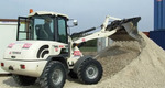 Terex 834