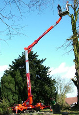 Nacelle araignée sur chenilles Teupen LEO 23 GT