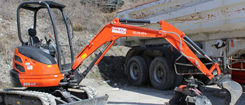 Kubota U 25