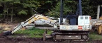 Bobcat 225