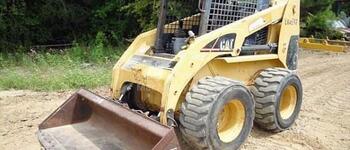 Caterpillar 246