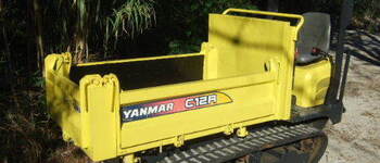 Yanmar C 12 R